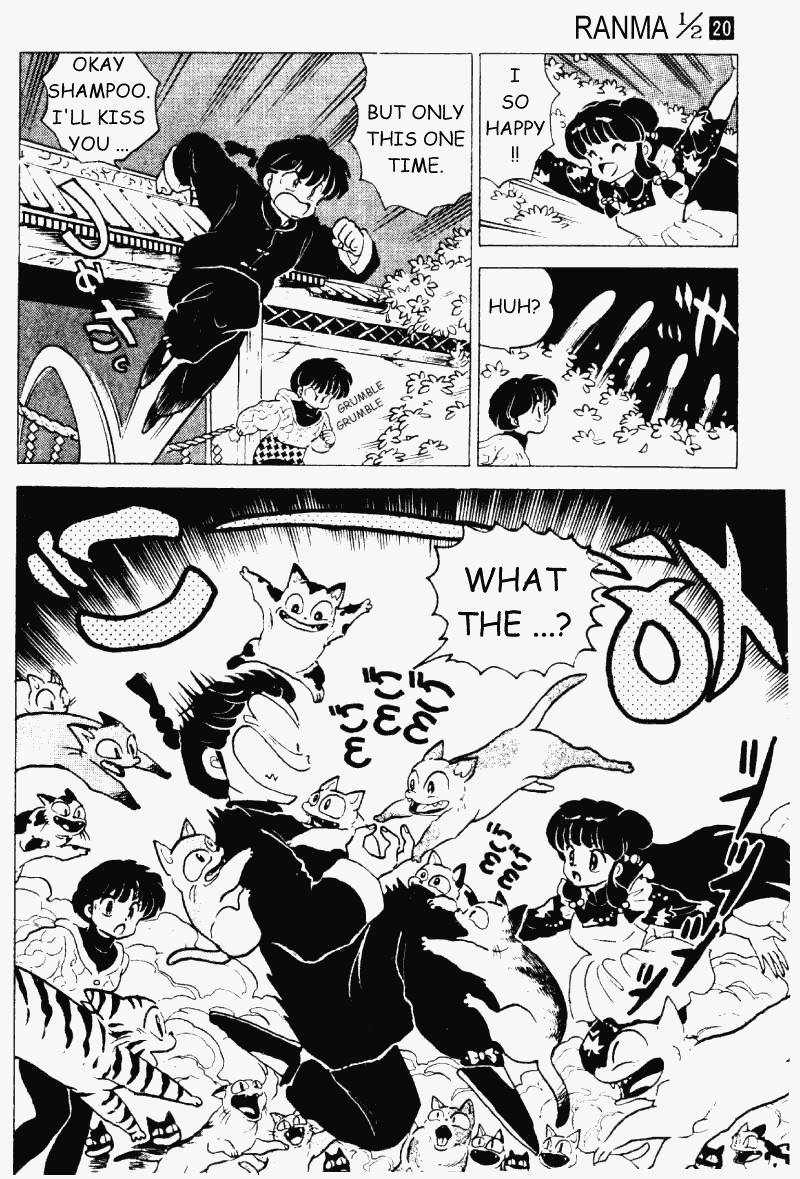 Ranma 1/2 Chapter 208 15